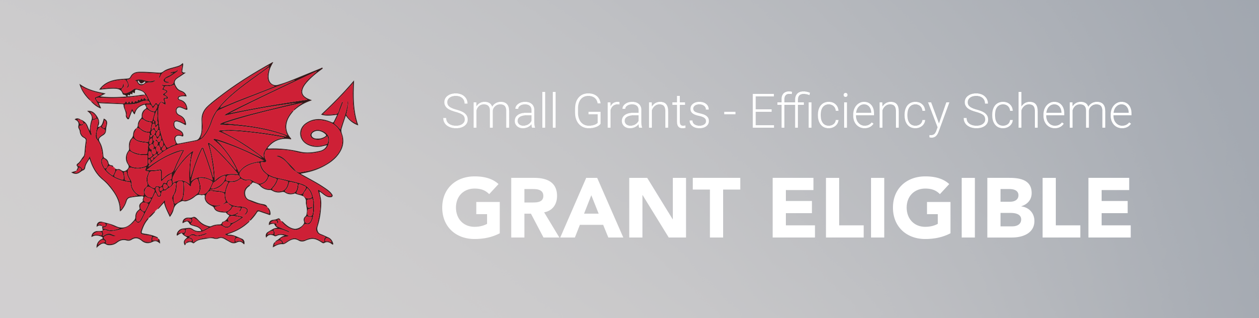 Welsh Small Grants Efficiency Scheme - Grant Eligibility Icon