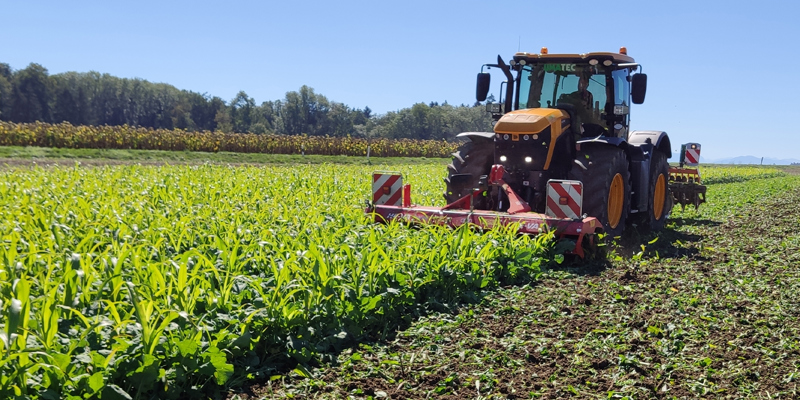 Front-mounted HE-VA Top Cutter Solo in cover crop