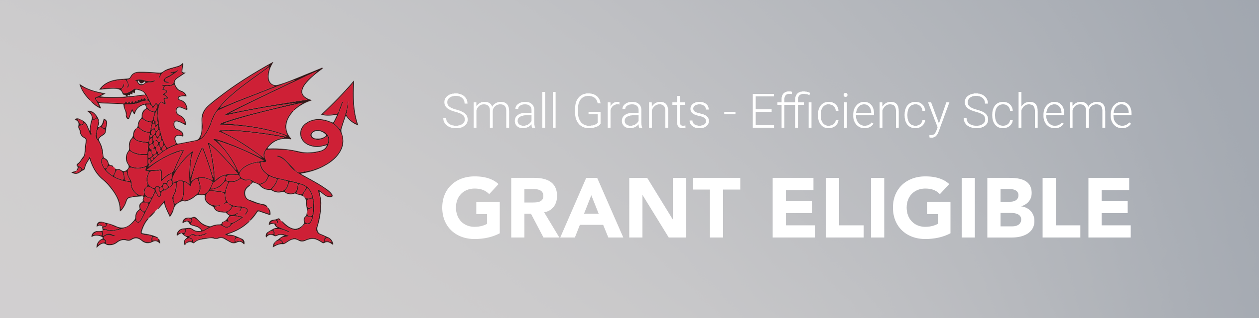 Welsh Small Grants Efficiency Scheme - Grant Eligibility icon